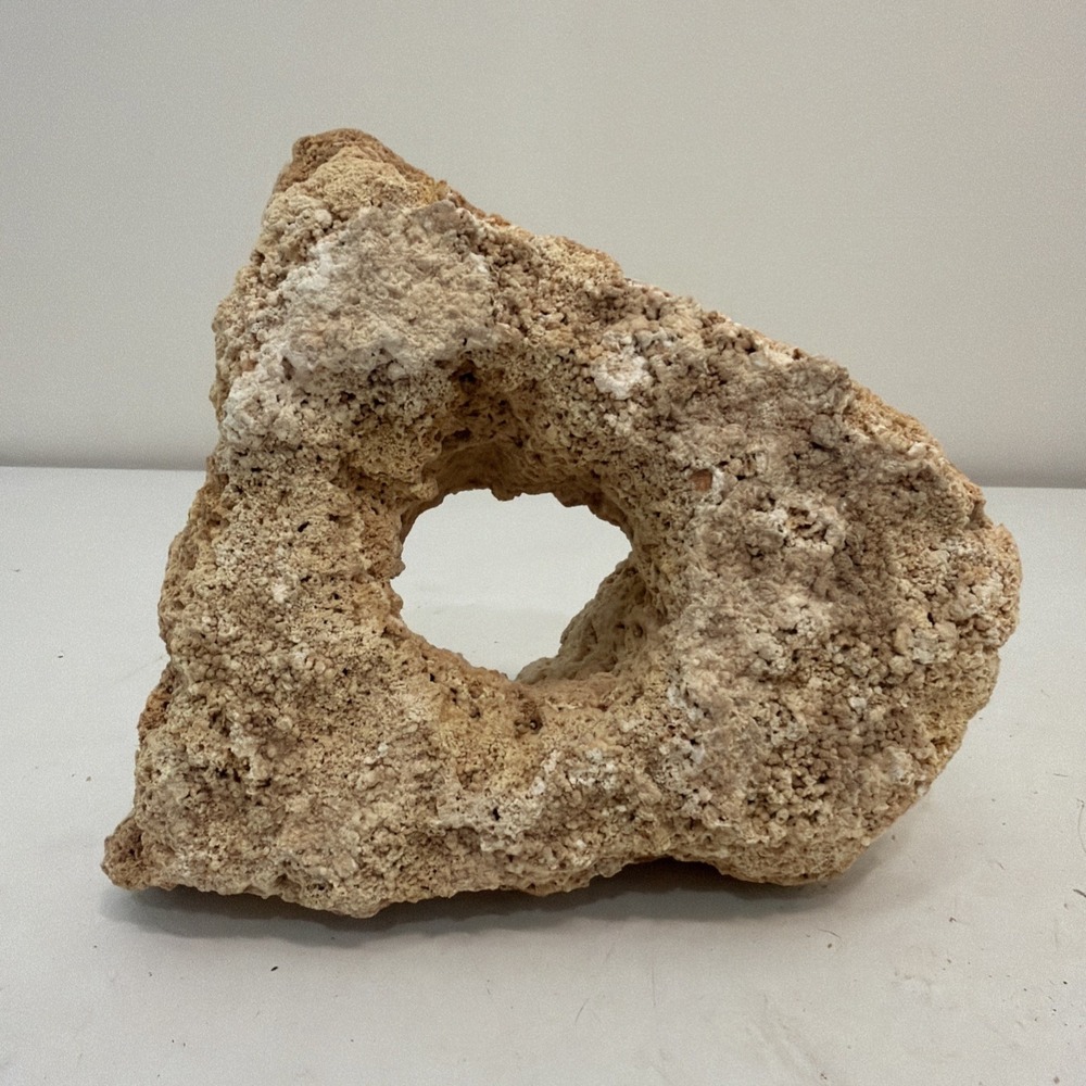 CORAL 8" X 4.5" For Aquarium Or Beach Decor Tufa Rock